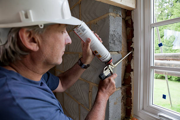 Best Insulation Contractors for Homes  in Pine Hills, CA